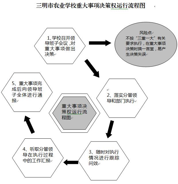 米兰(中国)重大事项决策权运行流程图.JPG